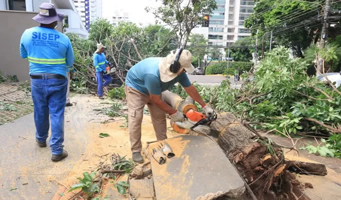Com previsão de chuva até quinta-feira, Prefeitura mantém equipes trabalhando na remoção de árvores e atacando pontos críticos de alagamentos